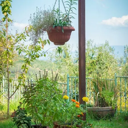 Gospodarstwo wiejskie Eythimia