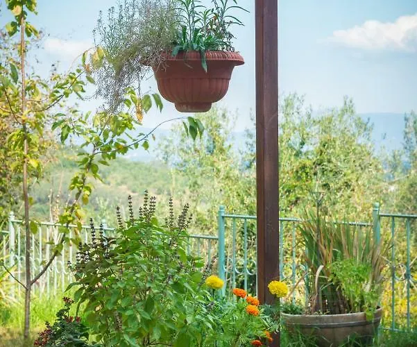 בית כפרי Eythimia